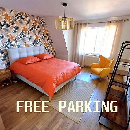 Confortable Spacieux Grand Rue - Garage Saverne Esterno foto